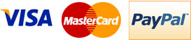 Visa Mastercard and Paypal